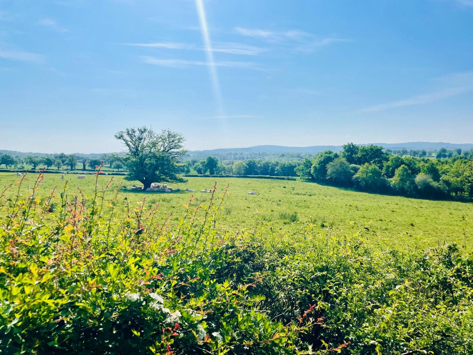 Willa Domaine Le Rianon Malleret-Boussac Zewnętrze zdjęcie